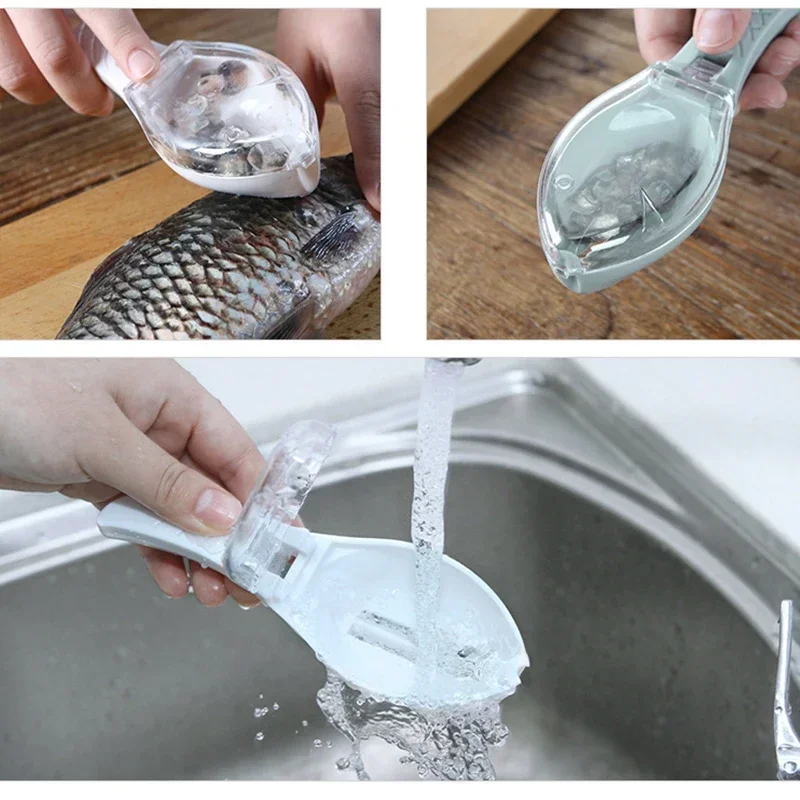 เกล็ดปลา Graters Scraper เครื่ - Fishing Equipment Kitchener บทวิจารณ์และราคา