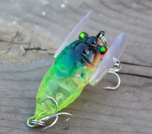เหยื่อล่อแมลงเหยื่อตกปลา Topwa - Fishing Equipment Deals บทวิจารณ์และราคา